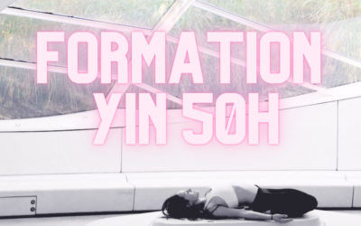 Formation yin 50h Amélie Annoni 15-21 janvier 2024