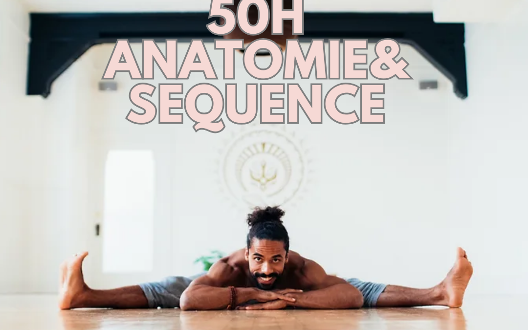 50H Fondation « Anatomie&Séquences »Mathieu Boldron 6-10 février 2024 (Module 2, 200H)