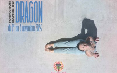 Formation Danse du Dragon avec Amélie Annoni 1-3 novembre 2024