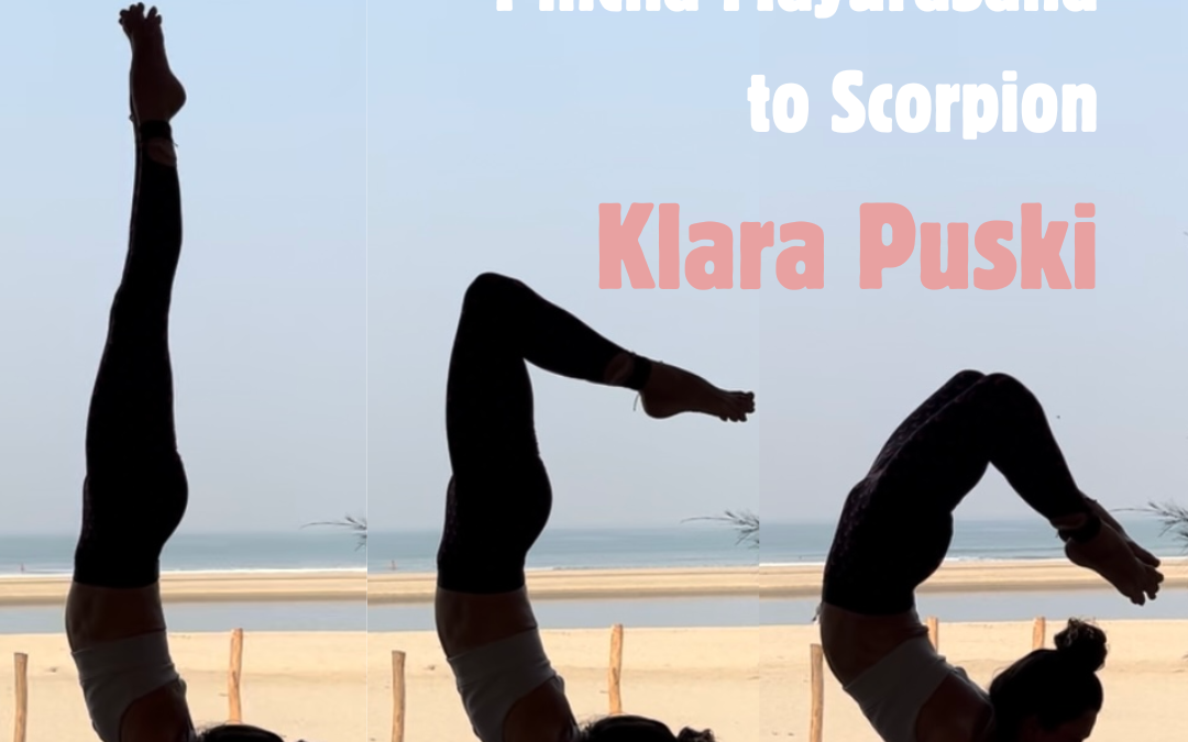 Atelier Pincha Mayurasana to Scorpion avec Klara Puski dimanche 8 décembre