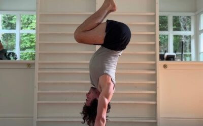 Atelier Handstand débutant&Intermédiaire 7&14 décembre 2025