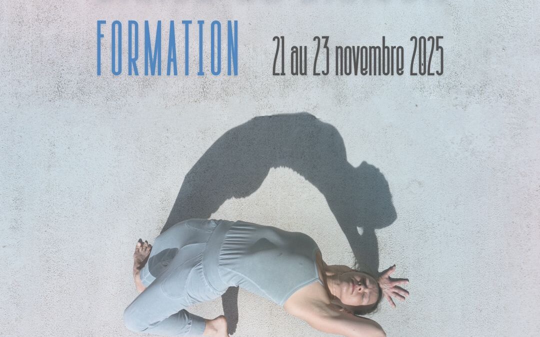 Danse du Dragon avec Amélie Annoni 21-23 novembre 2025