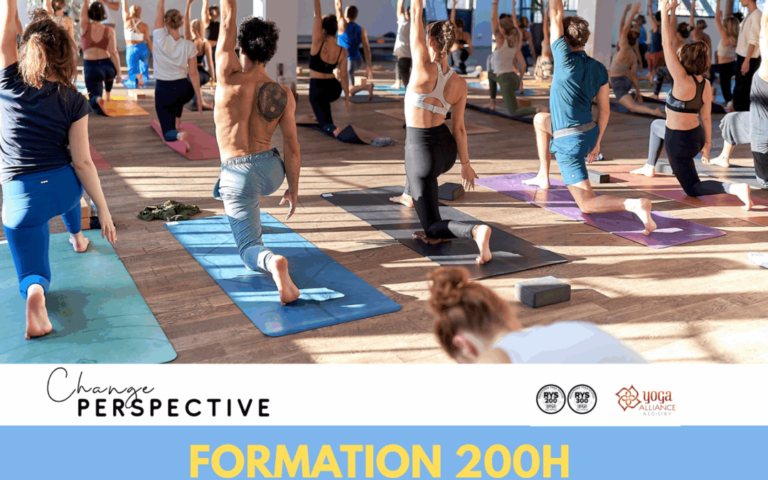 Formation 200 Yoga Alliance avec Mathieu Boldron 7-21 février 2026