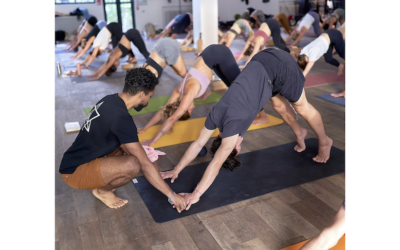 Yoga massage &l’art des assists posturales avec Mathieu Boldron 10 au 12 Avril 2026