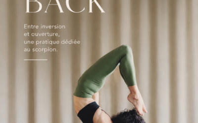 Atelier Up&Back avec Katia Seddiki Dimanche 15 novembre 2026